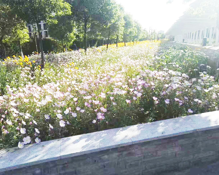 昌碩科技（上海）有限公司