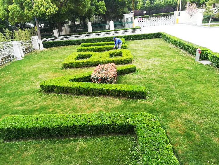 綠點（蘇州）科技有限公司